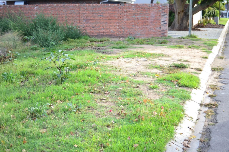 0 Bedroom Property for Sale in Island Cove Western Cape